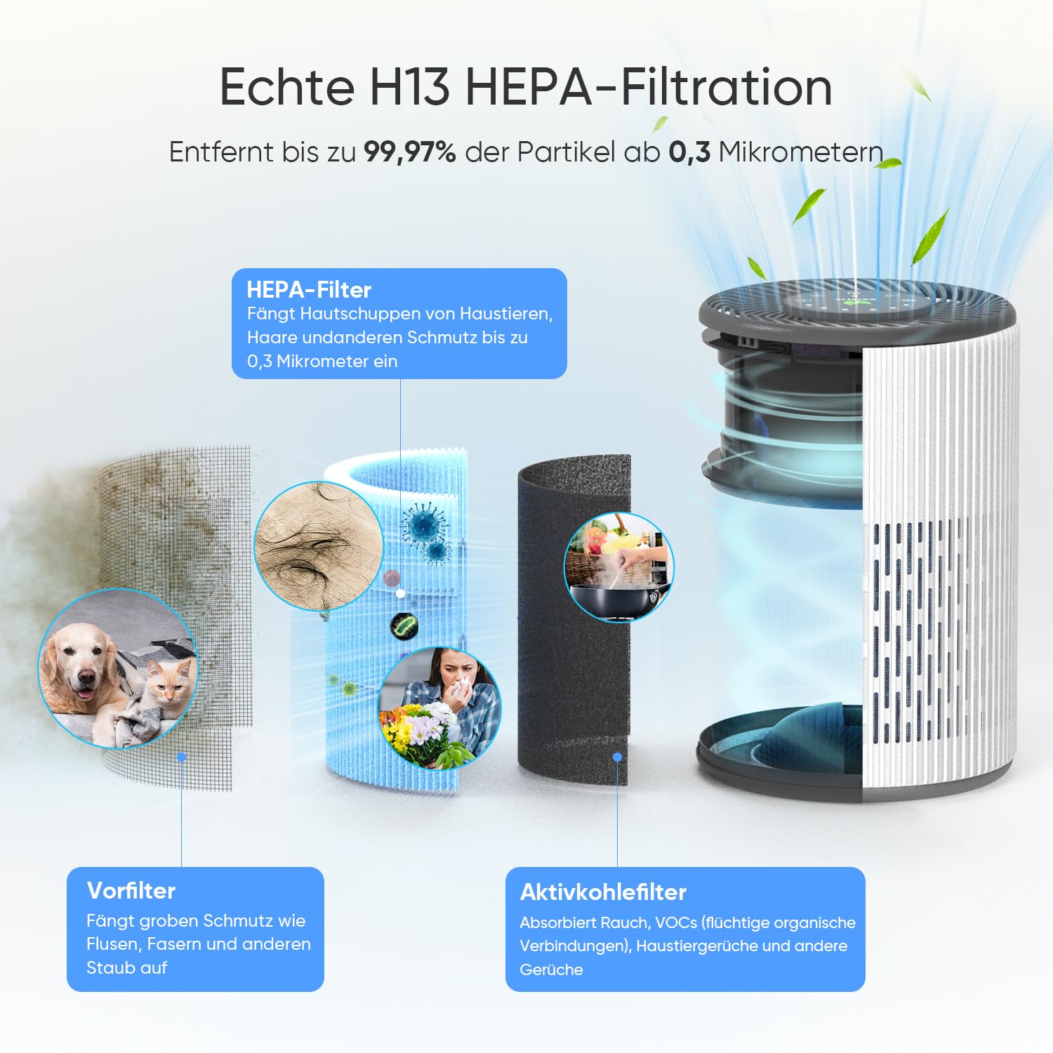 DAYETTE Tragbarer Luftreiniger für Allergiker mit Duftschwamm und blauem Nachtlicht, Timer, Ruhemodus (20 dB), HEPA-Luftfilter gegen Schimmel, Staub, Pollen, Gerüche, Tierhaare