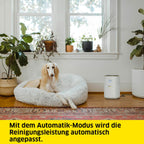 Kärcher Luftreiniger AF 20, Luftdurchsatz: 220m³/h, Raumgröße - 20-40 m², beseitigt 99,95% der Partikel bis zu 0,3μm wie Feinstaub, Aerosole, Allergene & Gerüche, Automatik-Funktion, Timer, Nachtmodus