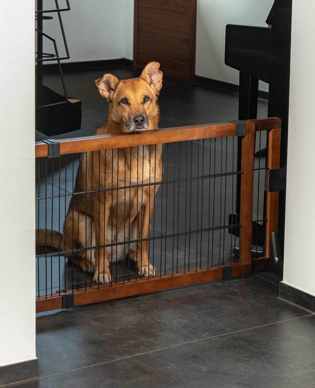 lionto Hundeschutzgitter längenverstellbar, Welpenschutzgitter aus attraktivem Pinienholz sorgt für Sicherheit, Höhe 50 cm, Robustes Absperrgitter für Treppen/Türen, einfacher Aufbau, braun/schwarz
