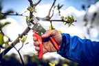 Original LÖWE 10 Profi Amboss Gartenschere 10.107 mit Bypass Geometrie - innovative scharfe Schere mit ergonomischen Griffen und Antihaftbeschichtung an Stahl-Klinge für Schneidarbeiten im Obstbau