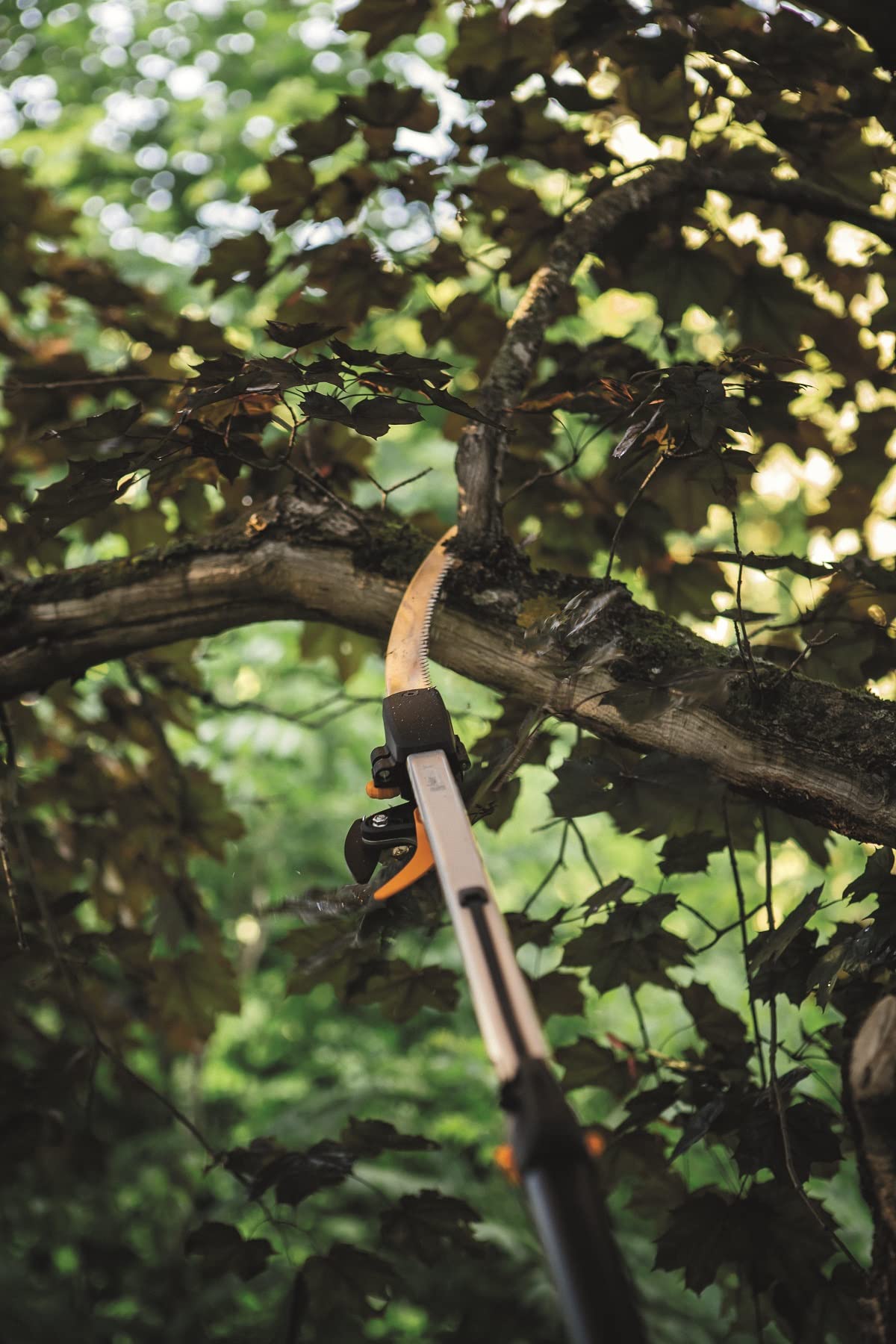 Fiskars Schneidgiraffen-Set, 2-teilig, Bypass Teleskop-Schneidgiraffe UPX86 (Länge 2,4 – 4 m) und Baumsäge für Bypass Teleskop-Schneidgiraffe UPX86 und UPX82 (Länge: 46 cm), 1077330