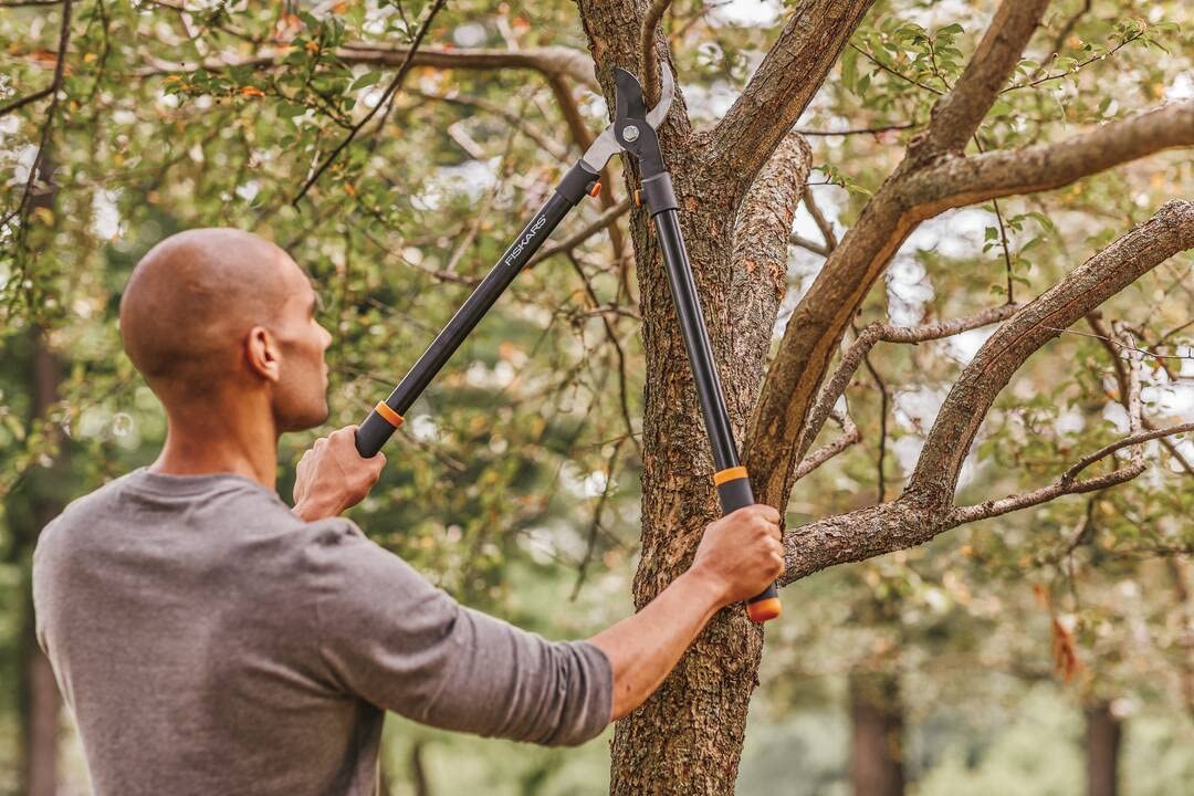 Fiskars Bypass-Astschere für frisches Holz, Antihaftbeschichtet, Gehärteter Präzisionsstahl, Länge: 81 cm, Schwarz, L11, 1027541