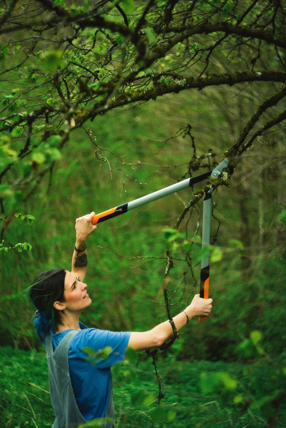 Fiskars PowerGear X Bypass-Getriebeastschere für frisches Holz, Antihaftbeschichtet, Gehärteter Präzisionsstahl, Länge: 80 cm, Schwarz/Orange, LX98-L, 1020188