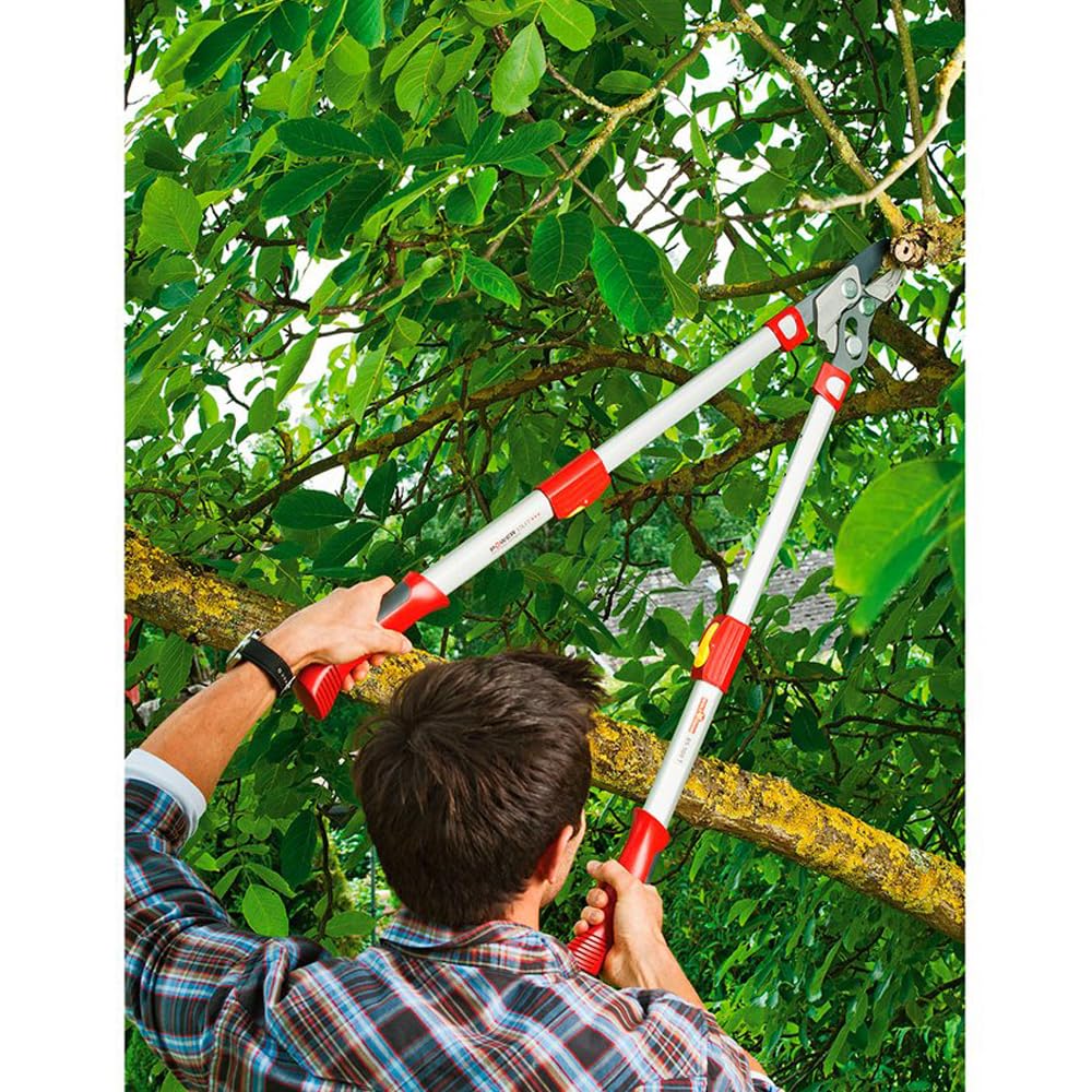 WOLF-Garten Amboss-Astschere Power Cut*** RS 900 T (für Äste bis 50mm Ø, von 65 bis 90 cm teleskopierbar, mit antihaftbeschichteten Klingen, ideal für abgestorbenes & hartes Holz) 73BGA009650
