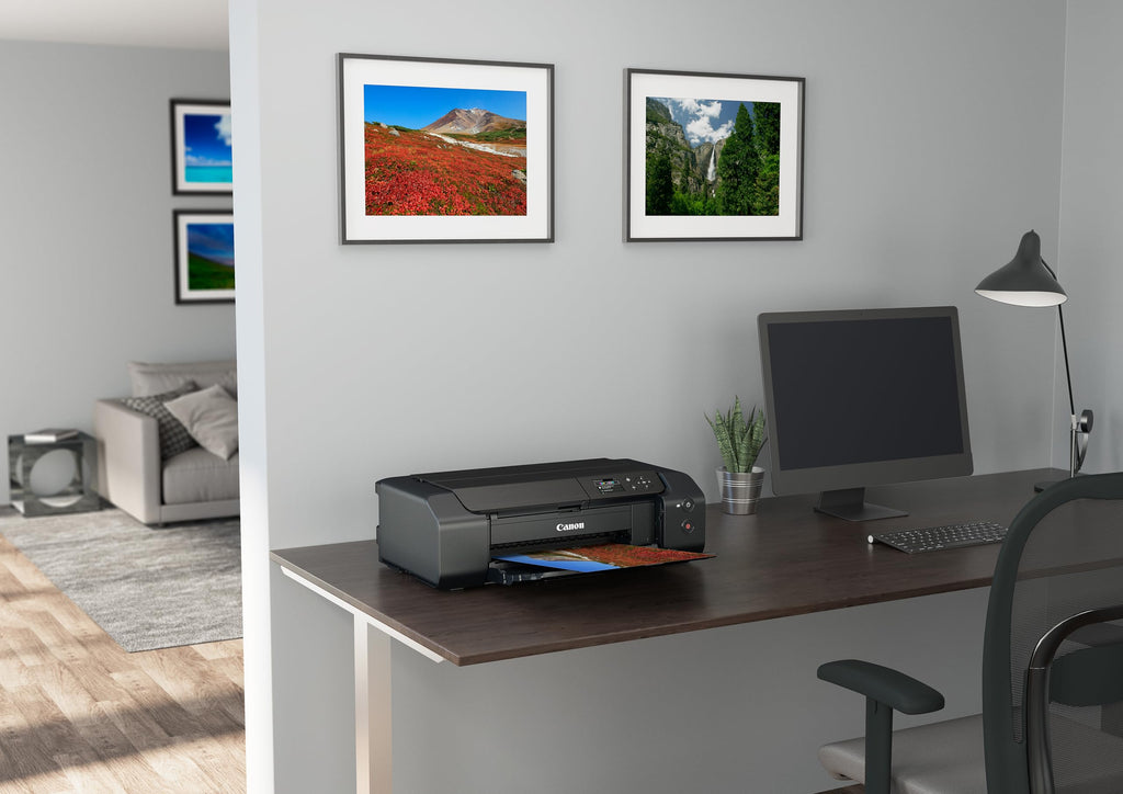 Canon PIXMA PRO-200S Farbtintenstrahldrucker Fotodrucker DIN A3+ (Hochglanzdruck, WLAN, USB 2.0, WiFi, LAN, Print App, 7,5 cm LCD Farbdisplay, 4.800 x 2.400 DPI, 8 Separate Druckertinten), grau