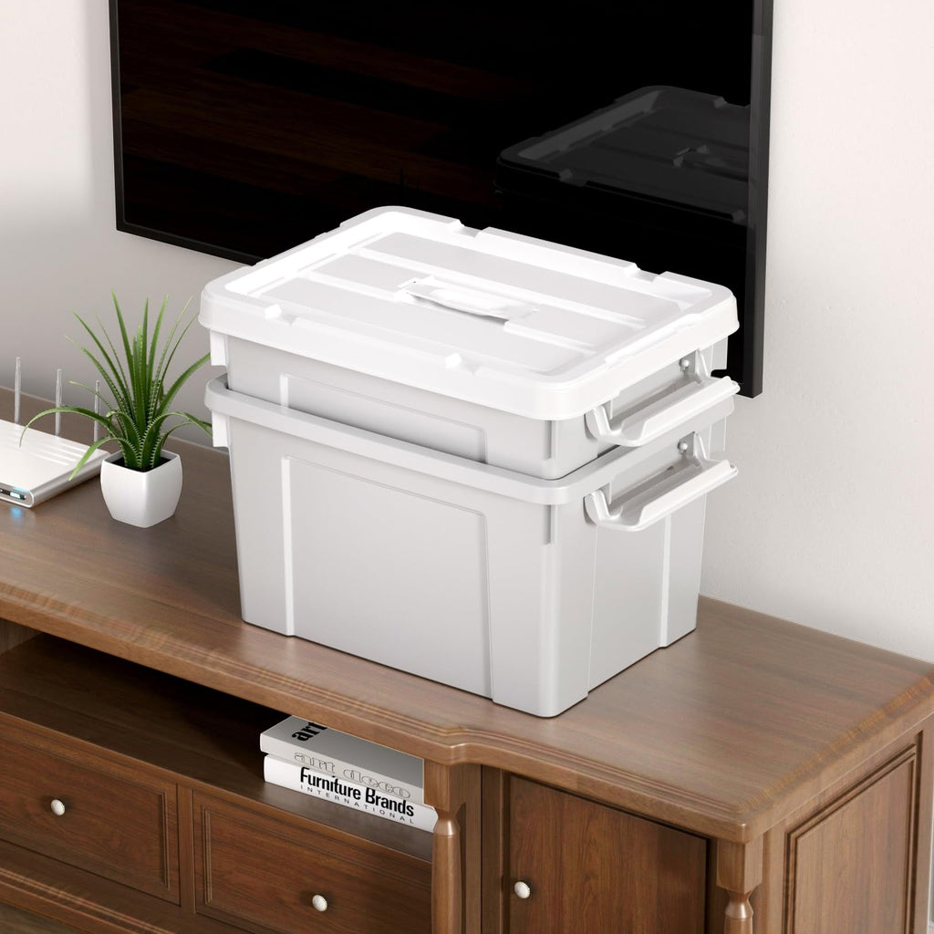 Cetomo 20L*6 Aufbewahrungsboxen, Tragbare Plastikboxen mit Deckeln, Organizer-Behälter mit Griff und Clips, Stapelbar, Ineinander Nestbar, für Zuhause und Büro, Grau, 20L-6er Pack
