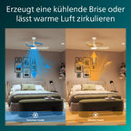 Philips Deckenventilator mit festem Flügel, 3 Flügel, klein (42"), 28 W LED-Licht, Gleichstrommotor, Farbtemperaturbereich (3000 K, 4300 K, 6500 K) mit Dimmfunktion, inkl. Fernbedienung