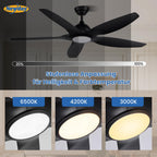 Newday Deckenventilatoren Große 153CM, Deckenventilator Schwarz mit Beleuchtung und Fernbedienung Leise, Ventilator mit Licht, 5 Flügel, Motor DC Reversibel, Stufenloser Dimmer, Zeitgeber für wohnraum