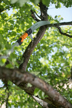 Fiskars Wertastungssäge für Arbeiten an weit entfernten Stellen, Werkzeugkopf, Länge: 55 cm, Gehärtetes Stahl-Sägeblatt, Schwarz/Orange, QuikFit, 1000691