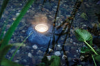 Pontec 87585 PondoStar LED Rocklight Set 3 - schwarzes, attraktives Felsleuchten-Set in zeitloser Schieferoptik / Unterwasserbeleuchtung