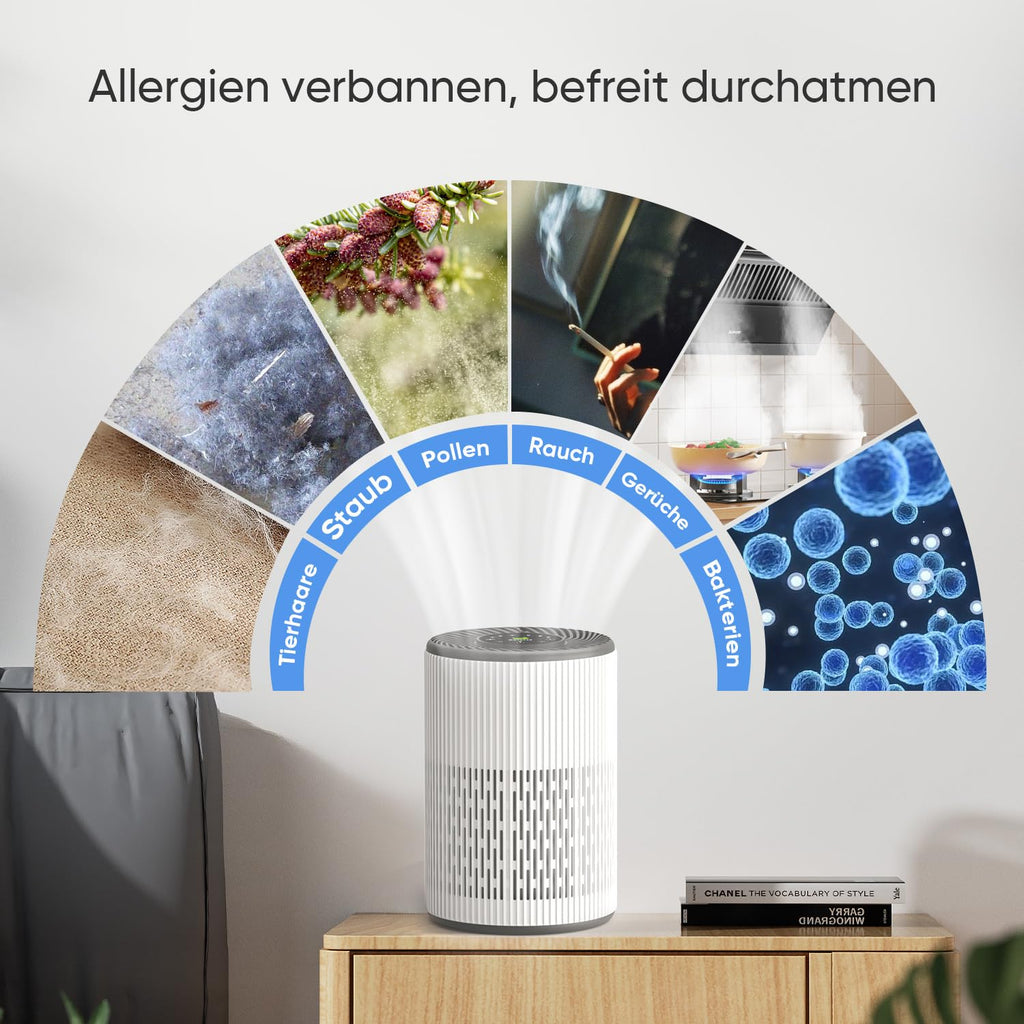 DAYETTE Tragbarer Luftreiniger für Allergiker mit Duftschwamm und blauem Nachtlicht, Timer, Ruhemodus (20 dB), HEPA-Luftfilter gegen Schimmel, Staub, Pollen, Gerüche, Tierhaare