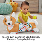 Fisher-Price Baby-Spielzeug zum Spielen in der Bauchlage, 3-in-1 Hündchen Spielkissen mit BPA-freiem Beißring, Rassel und Spiegel-Spielzeug