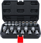 BGS Diy 95100 | Bit-Einsatz-/Steckschlüssel-Satz | Antrieb Innensechskant 12,5 mm (1/2") | T-Profil (für Torx) / E-Profil | 19-tlg.