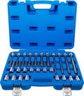 BGS 5180 | Bit-Einsatz-Satz | 26-tlg. | 12,5 mm (1/2") | Innenvielzahn (für XZN) | CV-Stahl