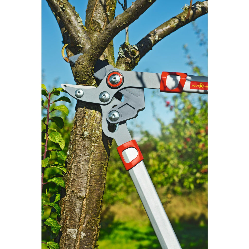 WOLF Garten WOLF-Garten - 2-schneidige Astschere »Basic Plus« POWER CUT* RR 650; 73AGA004650