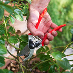 FELCO 2 professionelle Bypass-Gartenschere für Rechtshänder, 41 mm gehärtete Stahlklinge, geschmiedete Aluminiumgriffe, robustes Werkzeug für mittelgroße bis große Hände, 25 mm Schnitt, Swiss Made