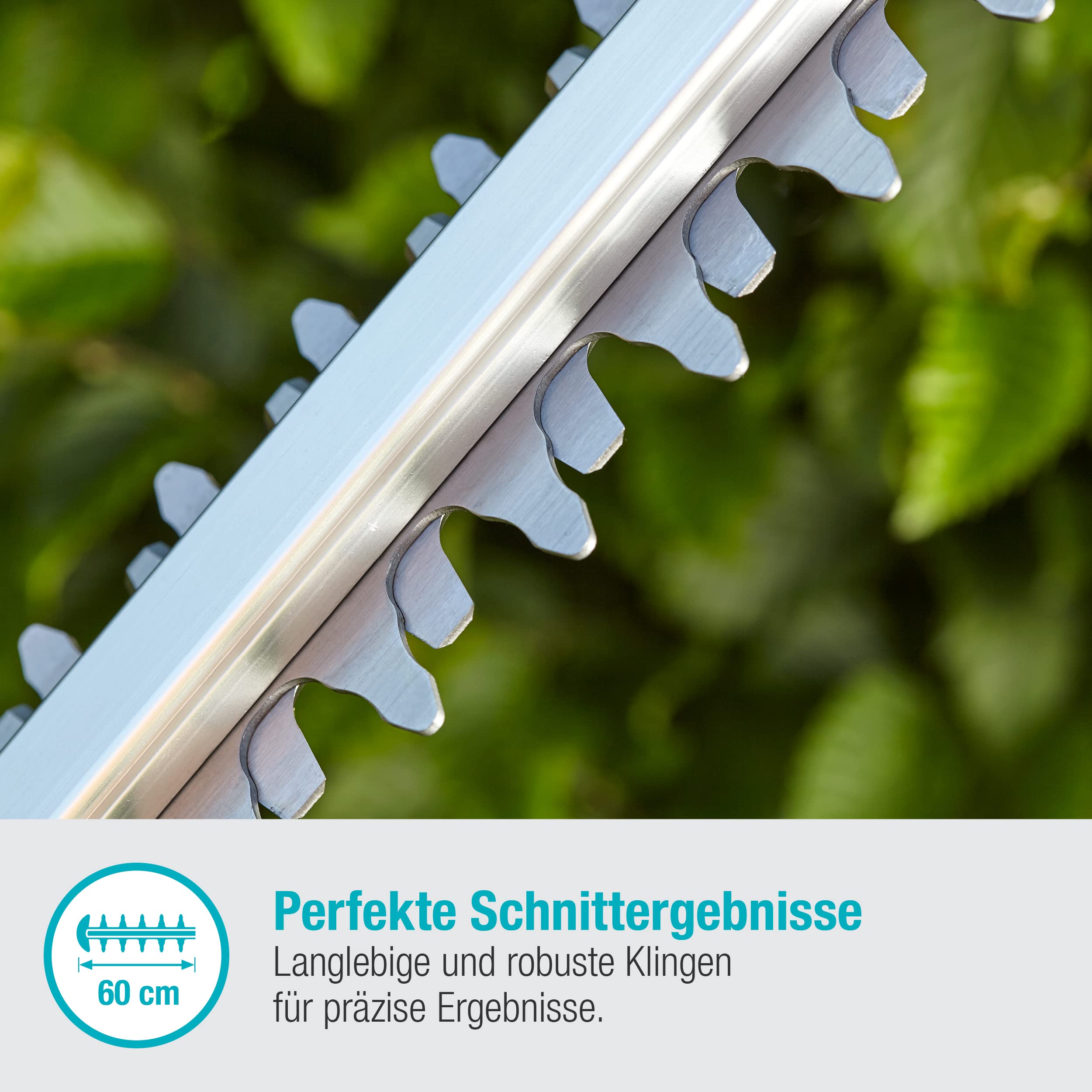 Gardena Akku-Heckenschere ComfortCut 60 18V P4A Ready-to-Use Set: Heckenschneider mit ergonomischem Griff und Anschlagschutz, geringes Gewicht für bessere Handhabung, inkl. 18V P4A Akku (14731-20)