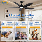 Newday Deckenventilatoren Große 153CM, Deckenventilator Schwarz mit Beleuchtung und Fernbedienung Leise, Ventilator mit Licht, 5 Flügel, Motor DC Reversibel, Stufenloser Dimmer, Zeitgeber für wohnraum