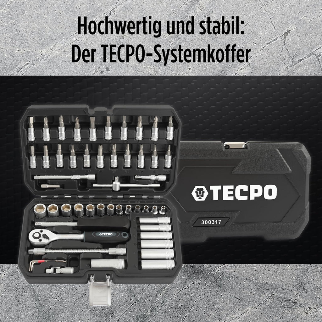 TECPO Steckschlüssel-Satz 1/4 Zoll, 53-tlg, Hebelumschaltknarre, Verlängerungen, für Torx-, Kreuz-, Schlitz- & Innensechskant-Schrauben, Chrom-Vanadium-Stahl, Steckschlüssel-Einsätze, Nuss-Set, Nüsse