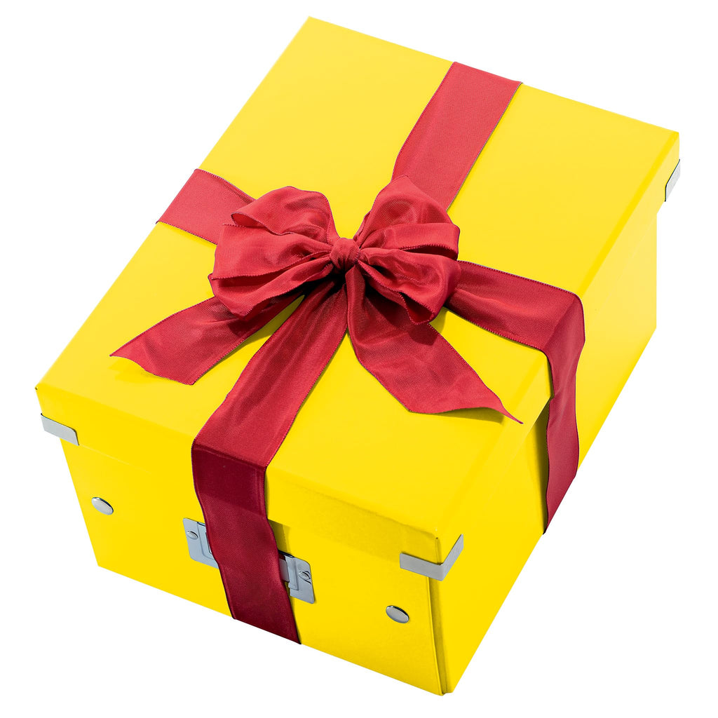 Leitz Click & Store Aufbewahrungsbox mit Deckel Mittel-Groß, Box für Unterlagen bis A4 im Büro u. Haushalt, Transportbox aus 85 % recycelter Premium-Hartpappe, Stabile Metallgriffe, Gelb, 60440016