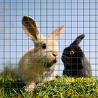 Wiltec Maschendrahtzaun Grün Verzinkt 1x10 m Rostbeständig Gartenbereich Tierhaltung
