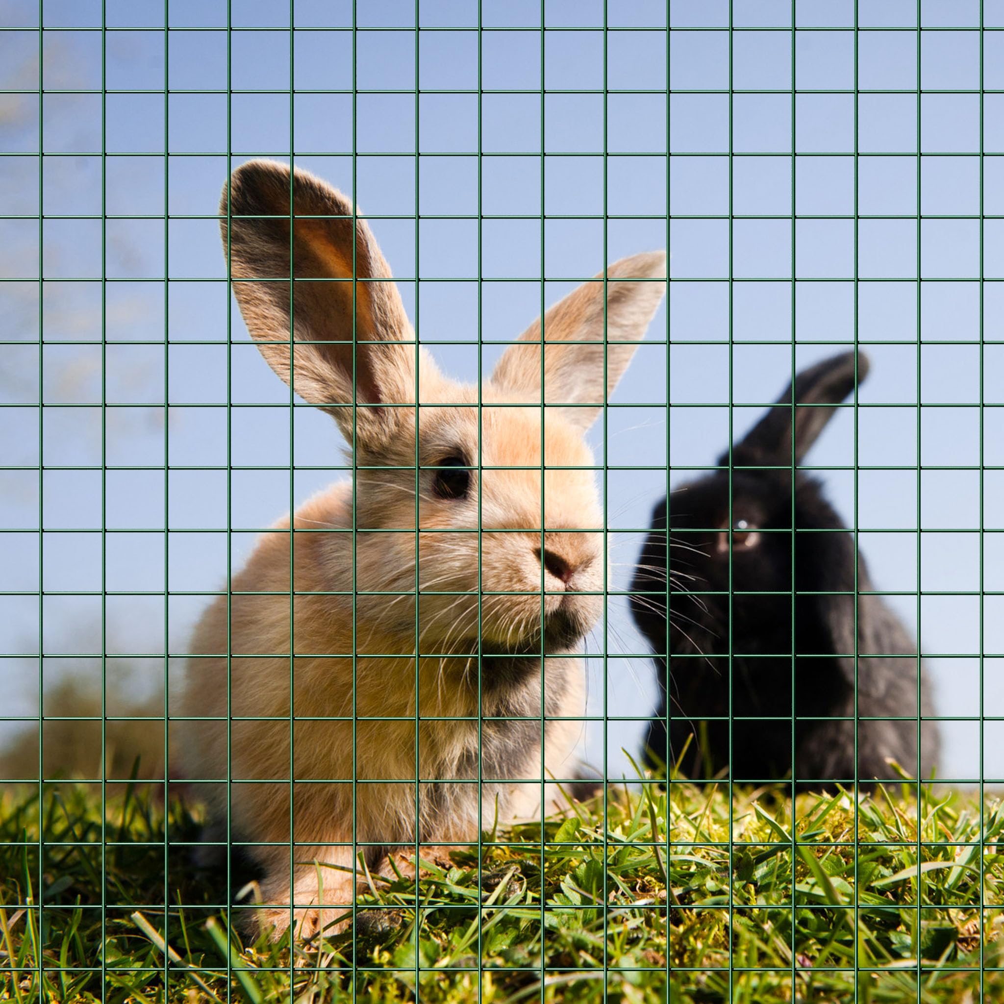 Wiltec Maschendrahtzaun Grün Verzinkt 1x10 m Rostbeständig Gartenbereich Tierhaltung
