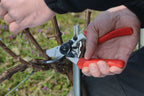 FELCO 7 Bypass-Gartenschere mit Rollgriff für Rechtshänder, ergonomisch für große Hände, 45 mm Stahlklinge, Schnitt bis 25 mm, Stoßdämpfer, geschmiedete Aluminiumgriffe, Swiss Made