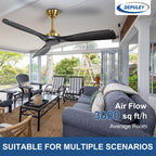Depuley Groß Deckenventilator ohne Licht: 132CM Ventilator mit Fernbedienung und APP für Terrasse Garten - Leise Deckenventilator, Reversibler DC Timer für Schlafzimmer, Wohnzimmer, Schwarz und Gold