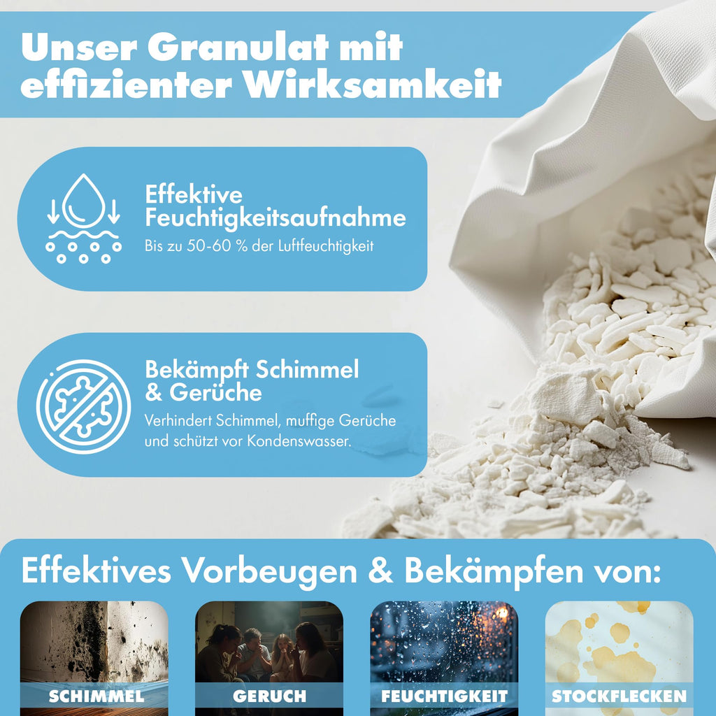 reilo 60x 450g Luftentfeuchter Granulat (Calciumchlorid), Raumluftentfeuchter im Vliesbeutel, Nachfüllpacks für Entfeuchterboxen 400 bis 1200 g, Lufttrockner für Wohnräume, Schlafzimmer, Keller