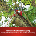 WOLF-Garten multi-star Amboss Profi Baumschere RC-VM (für Äste bis 40mm Ø, ideal für abgestorbenes & hartes Holz, passend für multi-star-System) 71ACA005650