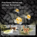 LEVOIT | HEPA Luftreiniger | Air Purifier mit Lichtsensor und waschbarem Vorfilter | Leise | CADR 243 m³/h, Wohnung bis 52 m² | entfernt 99,97 % von Staub, Pollen, Tierhaaren & Gerüchen | Tiermodus