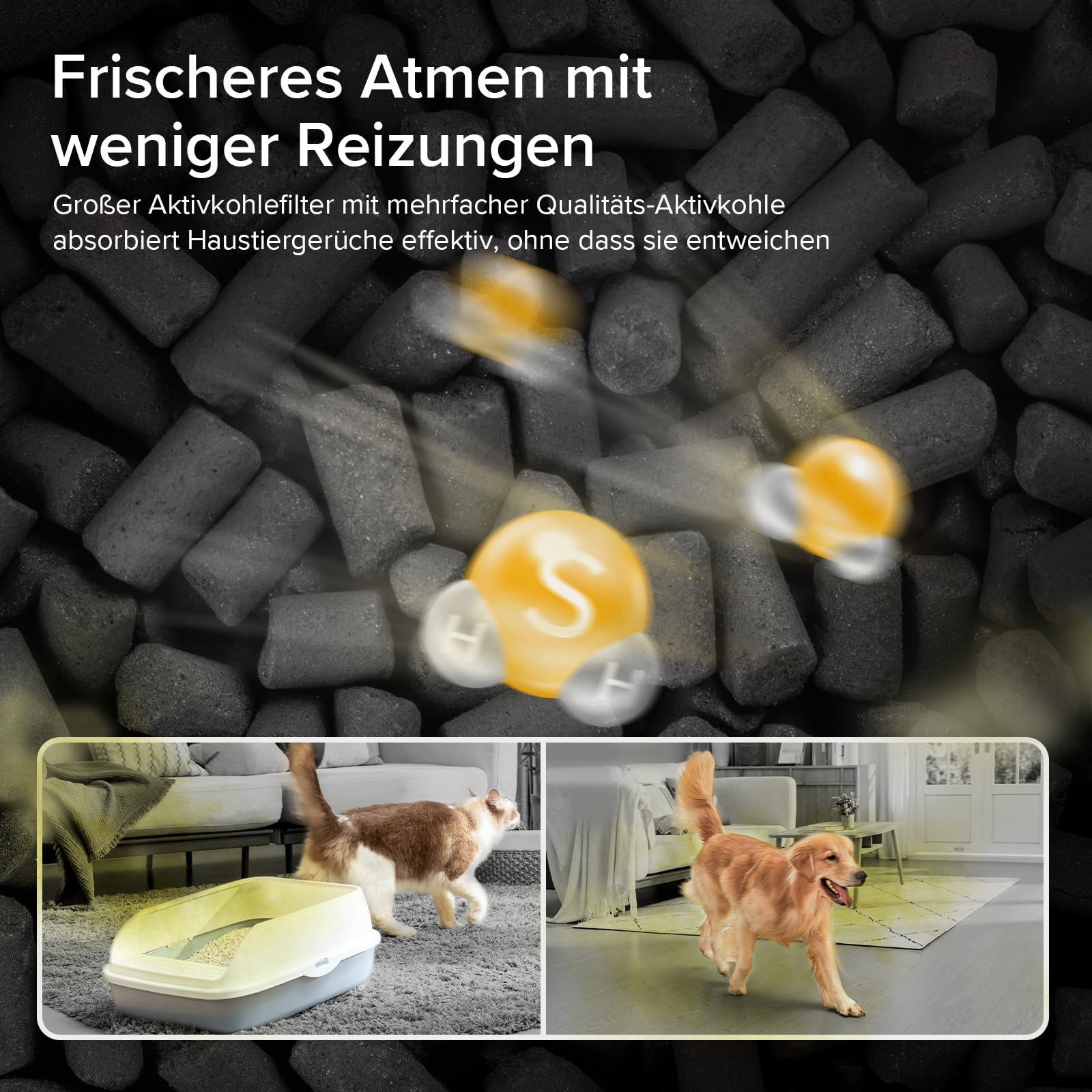 LEVOIT | HEPA Luftreiniger | Air Purifier mit Lichtsensor und waschbarem Vorfilter | Leise | CADR 243 m³/h, Wohnung bis 52 m² | entfernt 99,97 % von Staub, Pollen, Tierhaaren & Gerüchen | Tiermodus