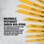 DEWALT 12-tlg. Säbelsägeblätter Set mit Aufbewahrungs-Box, DT2445-QZ