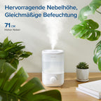 Levoit Top-Fill Luftbefeuchter, 23dB leise Humidifier für Schlafzimmer, Baby, bis 25H, Raumbefeuchter mit 360°Drehdüse für Kinderzimmer, Pflanzen, Auto Shut-off, 2,5 L, Weiß