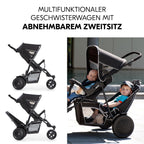 hauck Freerider, Schwarz - 3 Rad Geschwisterbuggy mit Regenschutz für 2 Kinder - Oberer Sitz mit Liegefunktion ab Geburt - Unterer Sitz ab 6 Monaten - Max. 15 Pro Sitz - Höhenverstellbar