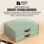 BIGSO BIRGER Schubladenbox – Aufbewahrungsbox mit 2 Schubladen – Schreibtisch Ablage für Dokumente & Bürobedarf – Ablagesystem aus recycelter Faserplatte und Papier – mintgrün