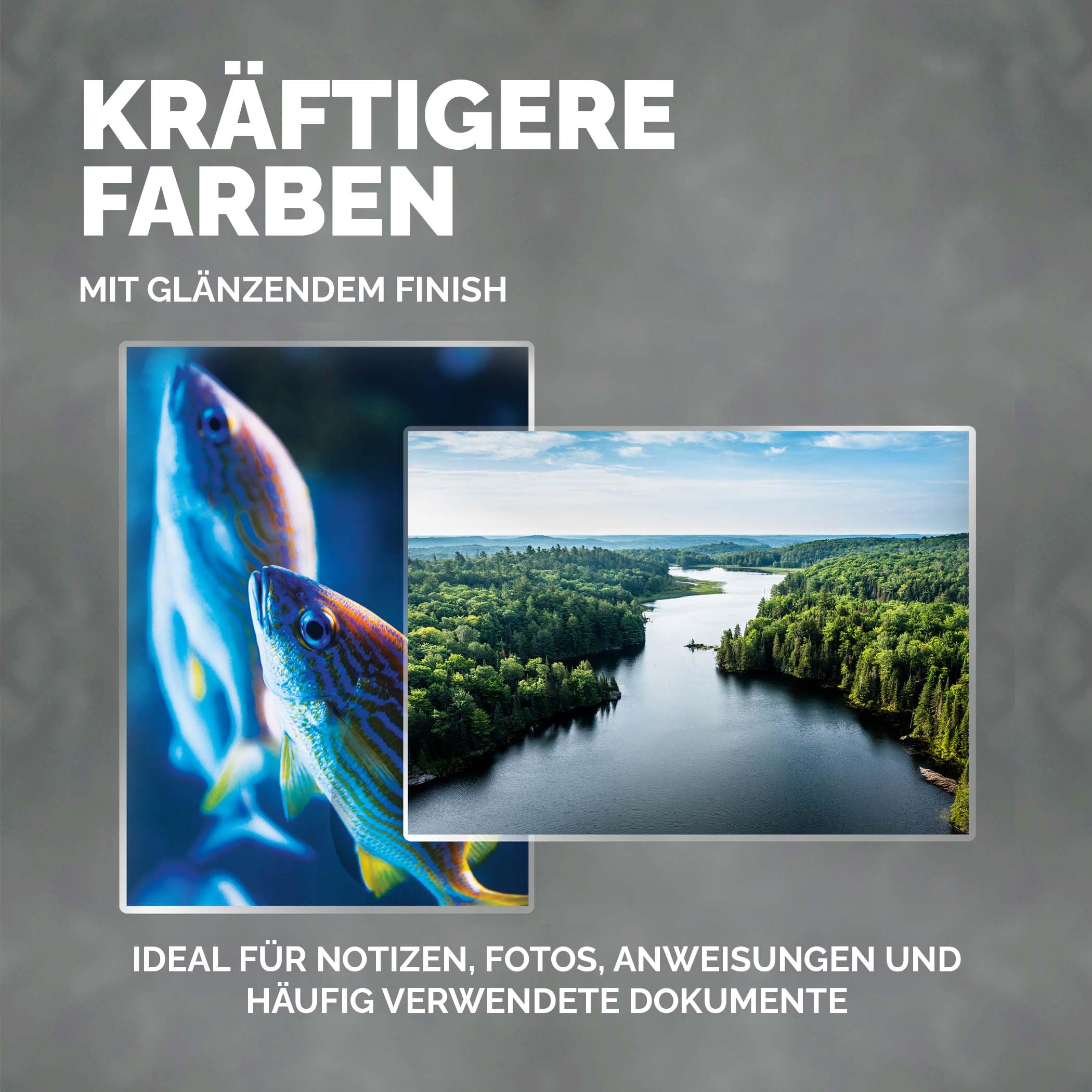 Fellowes Laminierfolien A4, 80 Mikron (2 x 80 mic), glänzend, Value Pack mit 250 Stück