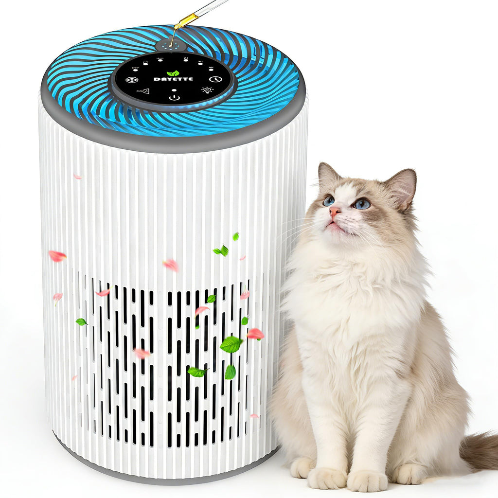 DAYETTE Tragbarer Luftreiniger für Allergiker mit Duftschwamm und blauem Nachtlicht, Timer, Ruhemodus (20 dB), HEPA-Luftfilter gegen Schimmel, Staub, Pollen, Gerüche, Tierhaare