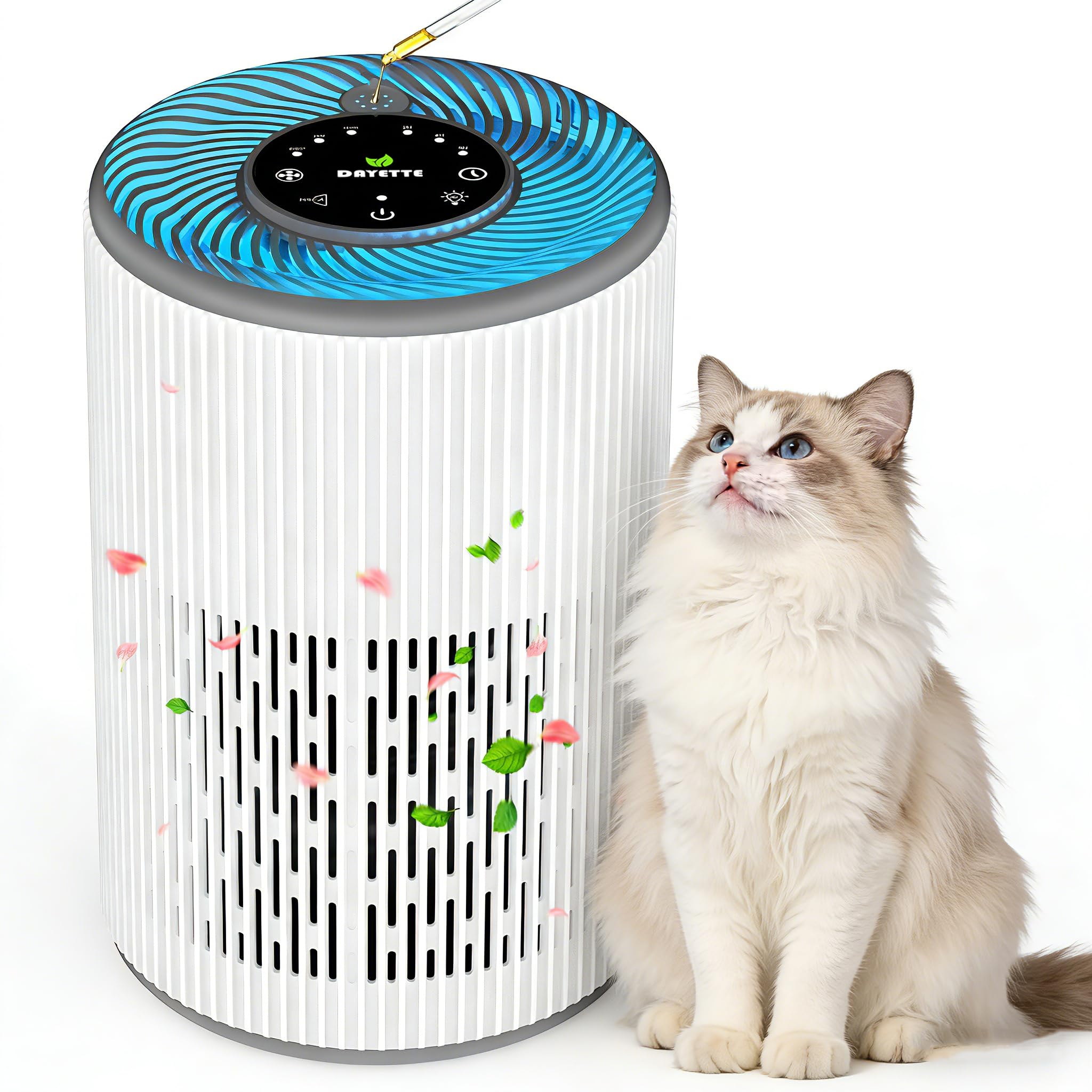 DAYETTE Tragbarer Luftreiniger für Allergiker mit Duftschwamm und blauem Nachtlicht, Timer, Ruhemodus (20 dB), HEPA-Luftfilter gegen Schimmel, Staub, Pollen, Gerüche, Tierhaare