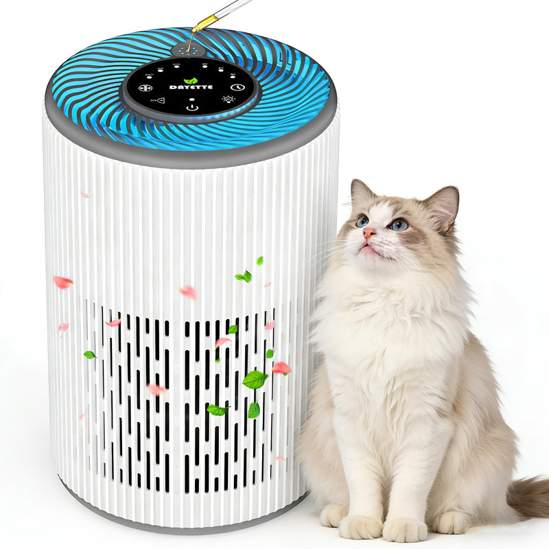 DAYETTE Tragbarer Luftreiniger für Allergiker mit Duftschwamm und blauem Nachtlicht, Timer, Ruhemodus (20 dB), HEPA-Luftfilter gegen Schimmel, Staub, Pollen, Gerüche, Tierhaare