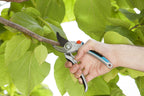 Gardena Gartenschere Alu B/L: Pflanzenschonende Baumschere mit Bypass-Schneide für Äste und Zweige bis 25 mm Durchmesser, robuste Alugriffe, auswechselbare Klinge, nachstellbares Gewerbe (8906-20)