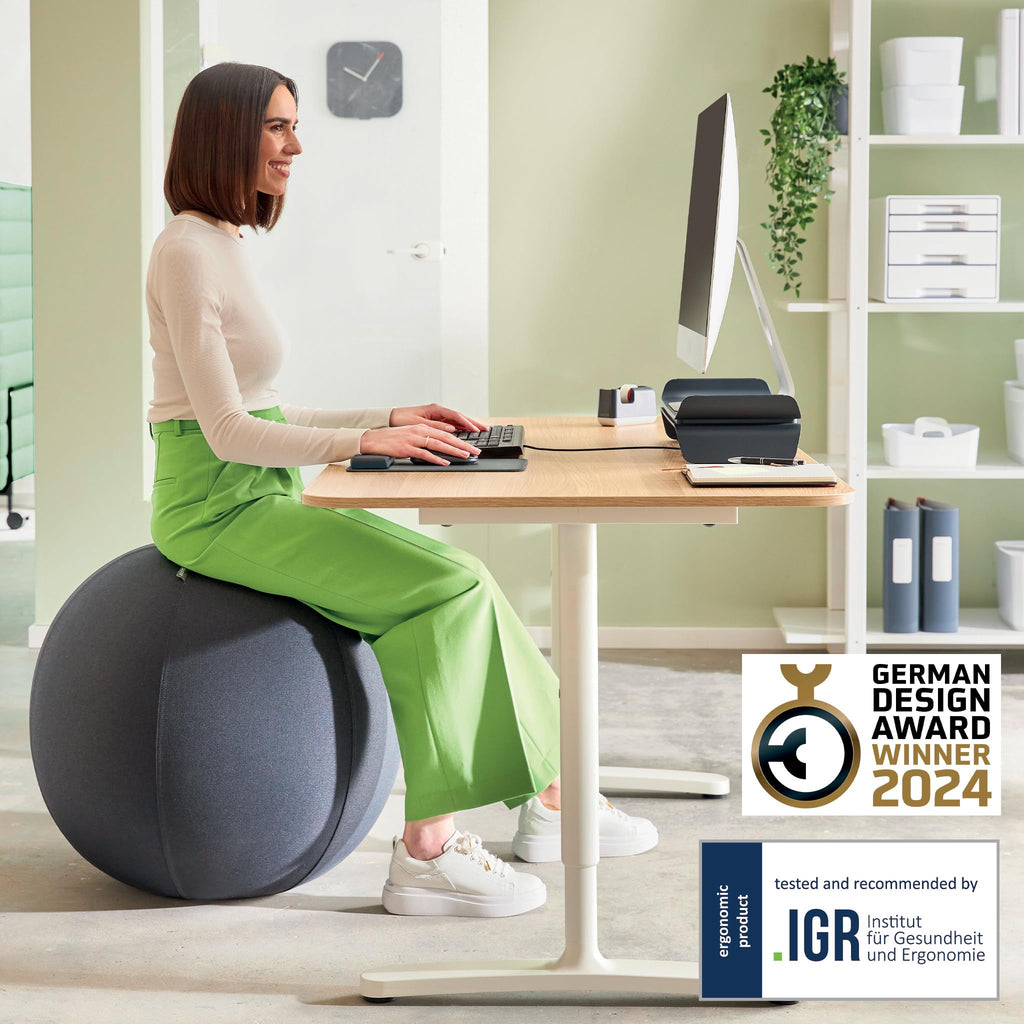 Leitz Ergo Active Sitzball mit Anti-Wegroll-Funktion, Ergonomische Alternative zum Bürostuhl, Gymnastikball, 65 cm Durchmesser, Stoffbezug, Für Büro oder Home Office, Ergo-Serie, Dunkelgrau, 65420089
