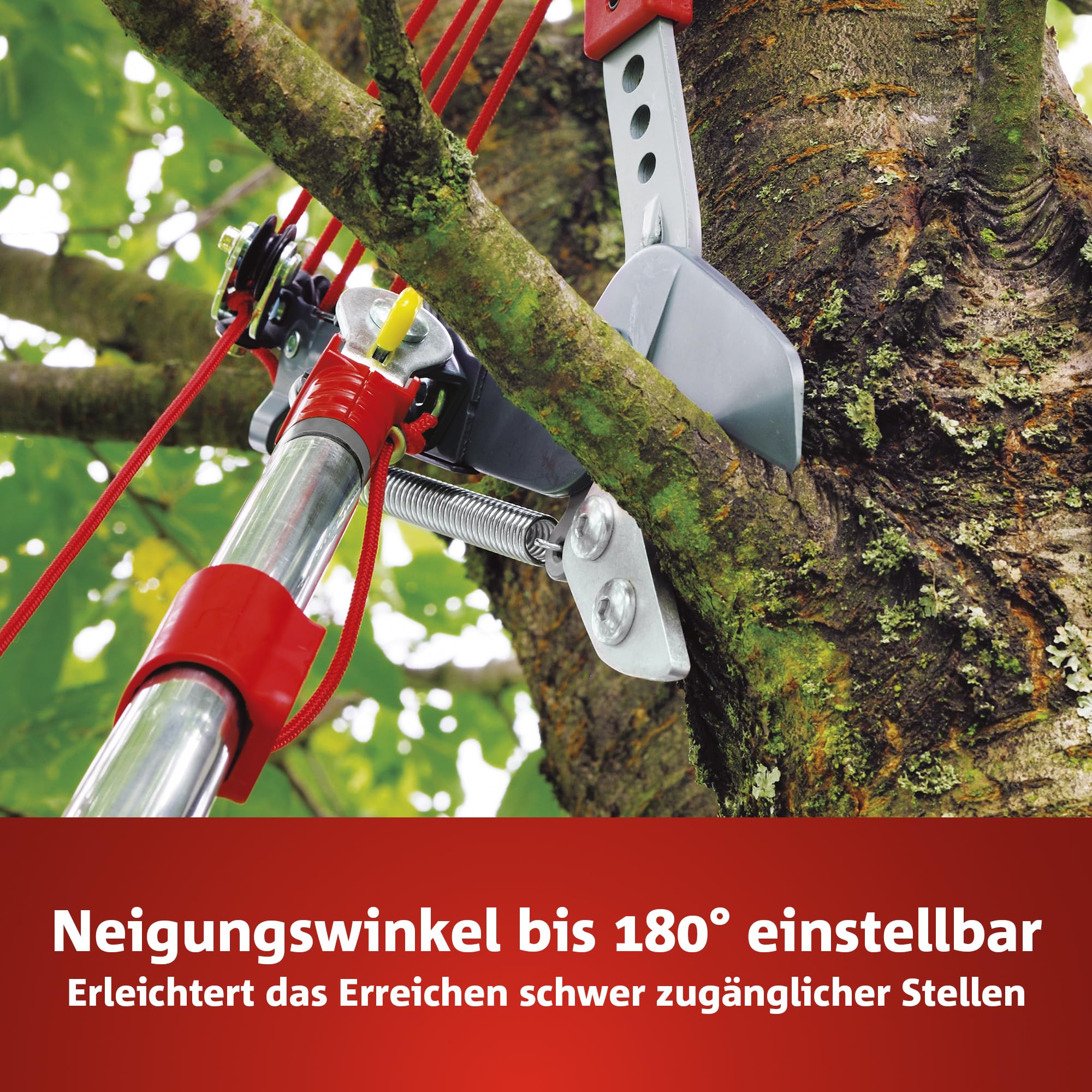 WOLF-Garten multi-star Amboss Profi Baumschere RC-VM (für Äste bis 40mm Ø, ideal für abgestorbenes & hartes Holz, passend für multi-star-System) 71ACA005650