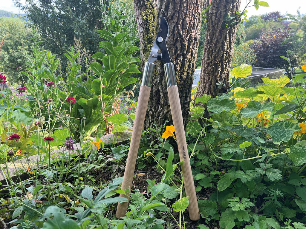 Spear & Jackson 5771KEW Kew Gardens Woodland Collection Garten-Umgehungsschere