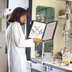 414507 Wandsichttafel Set A4, 10 Sichttafeln, schwarz