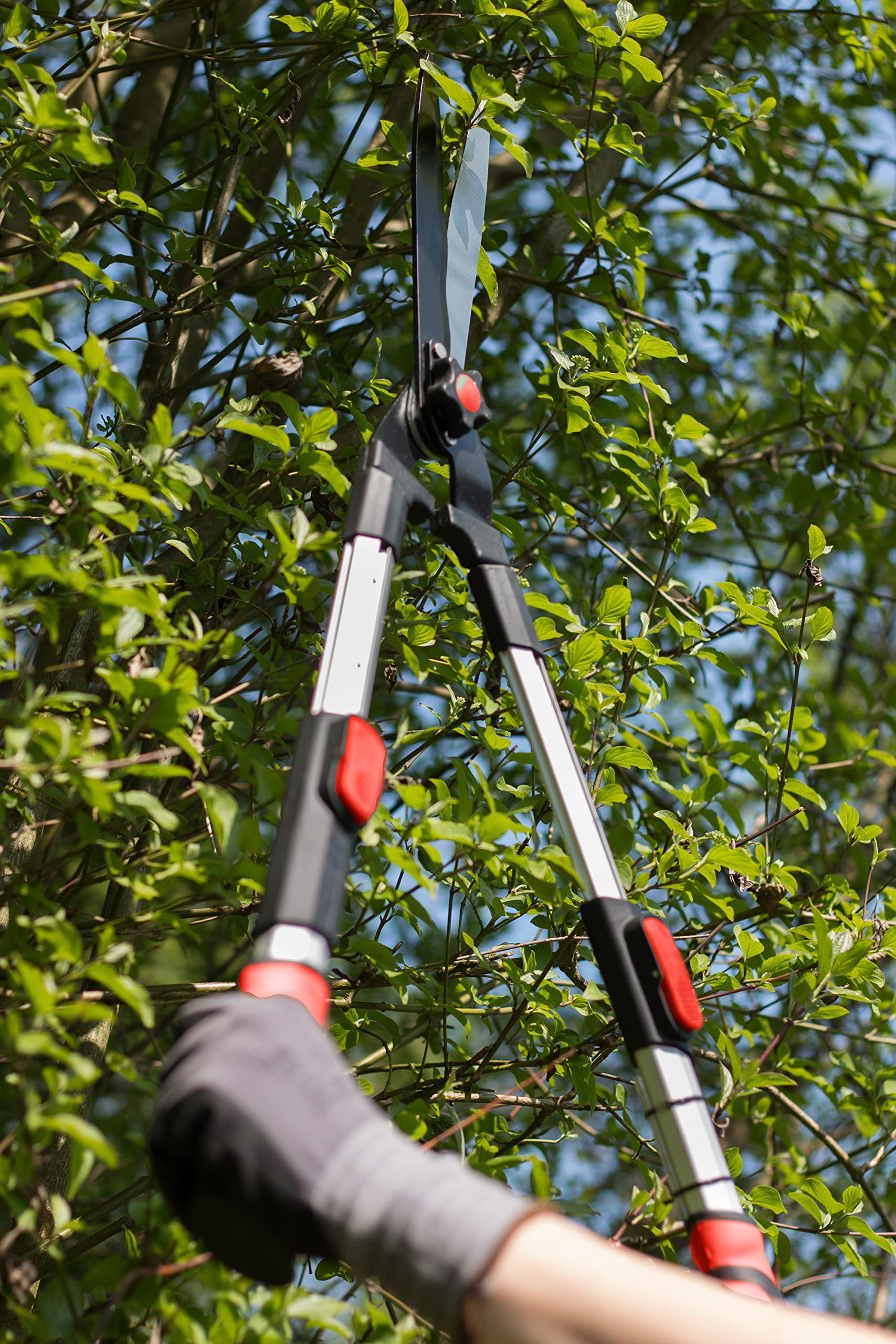 Meister Heckenschere - 2K-Teleskopgriffe - Extra lange Schneide - Wellenschliff & Antihaft-Beschichtung - Zum Zurückschneiden von Heckenpflanzen / Buchsschere / Gartenschere / Beidhandschere / 9769100, silber,schwarz,grün