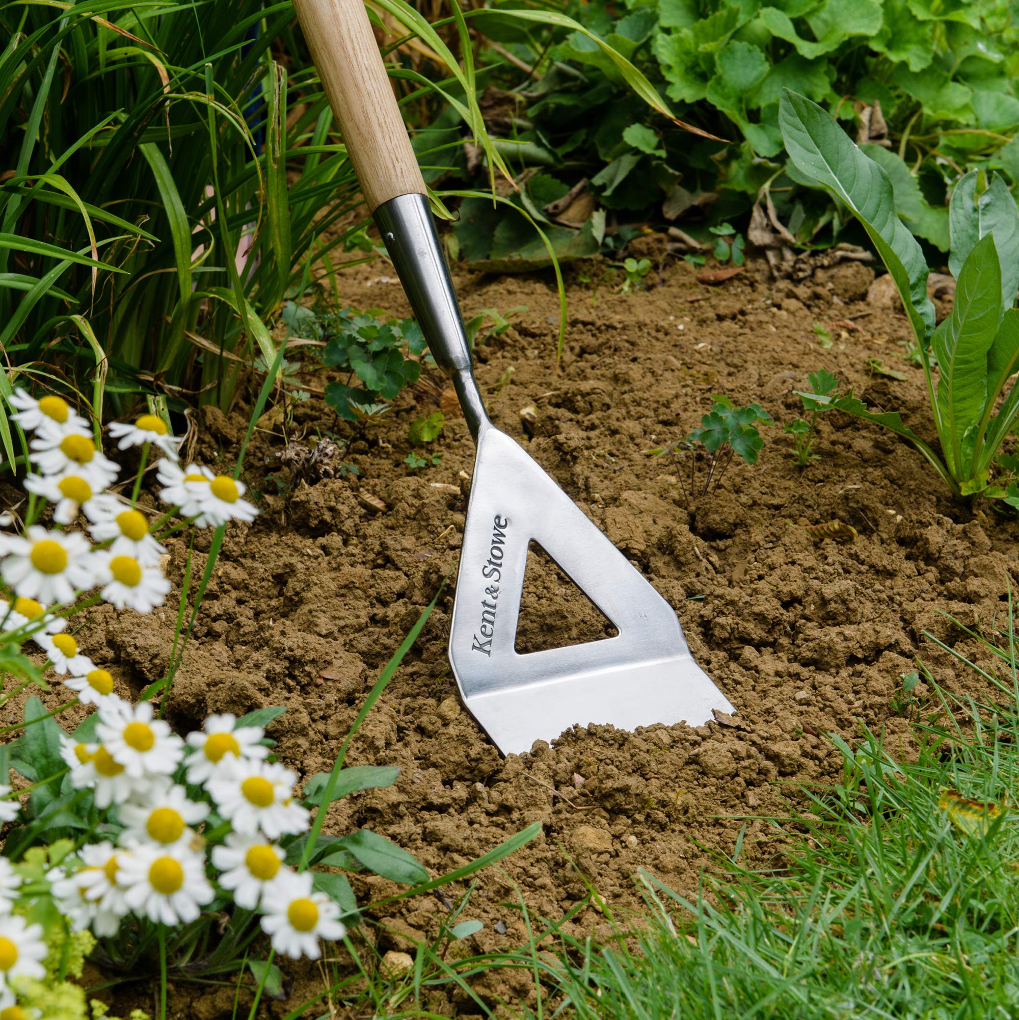 Kent & Stowe Holländische Hacke – Gartenhacke aus Edelstahl, zum Schub- und Zug-Jäten, Unkrautjäter mit Stiel aus Eschenholz, Länge: 160 cm