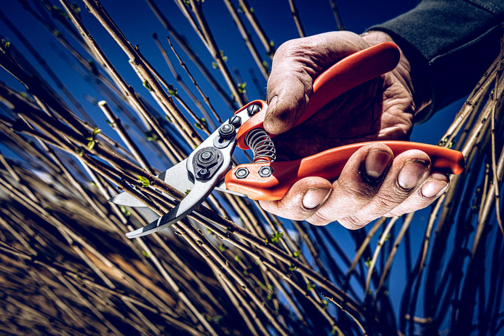 Original LÖWE 11 Profi Gartenschere Bypass Schere 11.107 mit antihaftbeschichteten Stahlklingen - leichte und scharfe Baumschere zweischneidig ideal für präzisen Schnitt an Blumen Zweige Obstbaum