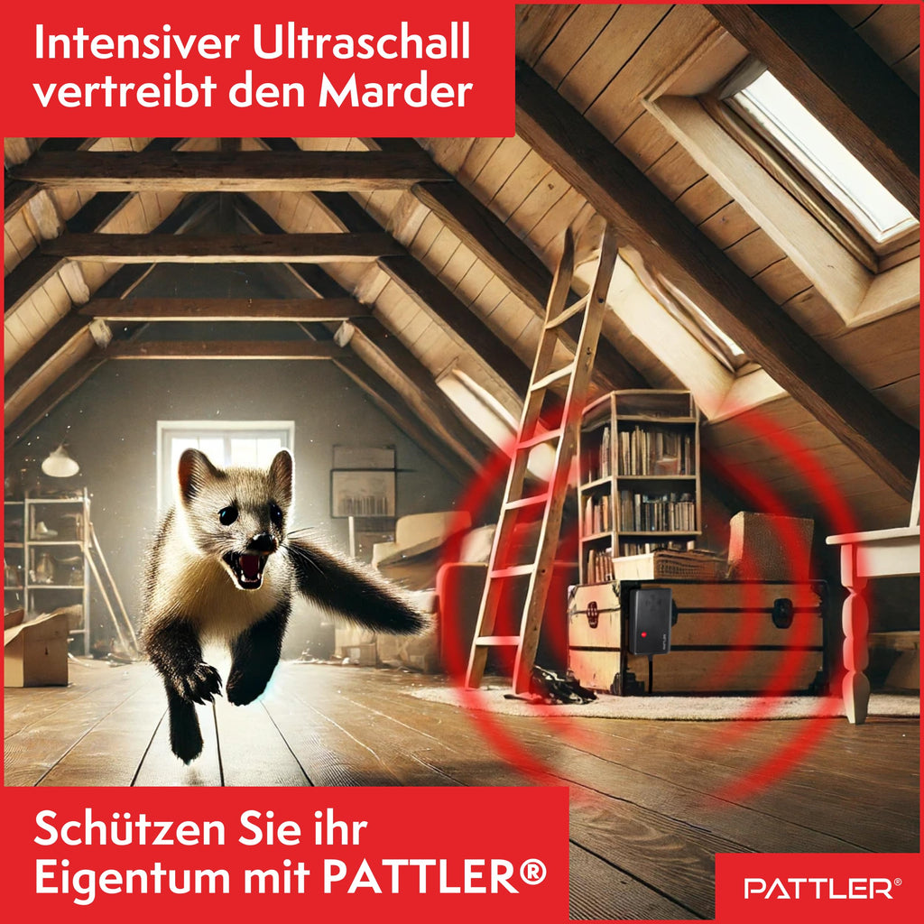 PATTLER ® Marderschreck Auto mit Stecker - für 60m². Marderschreck für Dachboden, Haus, Garten, Garage. Anschluss an Steckdose. Marderabwehr Dachboden mit Ultraschall - 1 Stück