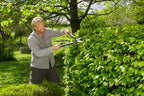 Gardena Heckenschere 2in1 EnergyCut: Mechanische Gartenschere mit 2-stufigem Getriebe, 23 cm, antihaftbeschichtete Präzisionsklingen, Stoßdämpfung (12303-20)